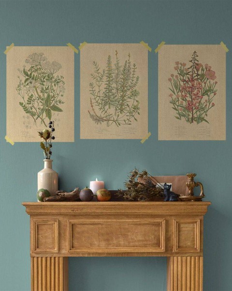 Flax Art Poster | Encyclopedia Wildflower A | FWP-AP-EN1A